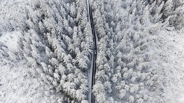 Drone Shot of Long Road By Forest and a SUV Passing Through It During Winter