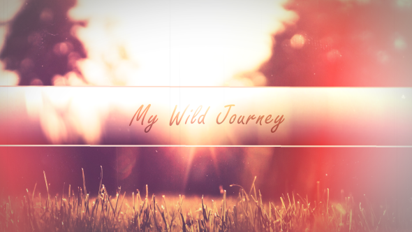 My Wild Journey