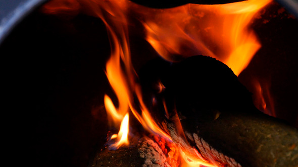 Burning Fire Firewood And Coal In Stove