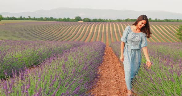 The Beautiful Young Girl Walks Across the Field of a Lavender at Sunset She is Wearing a Long Blue