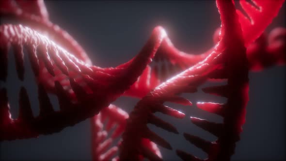 Loop Double Helical Structure of Dna Strand Close-up Animation