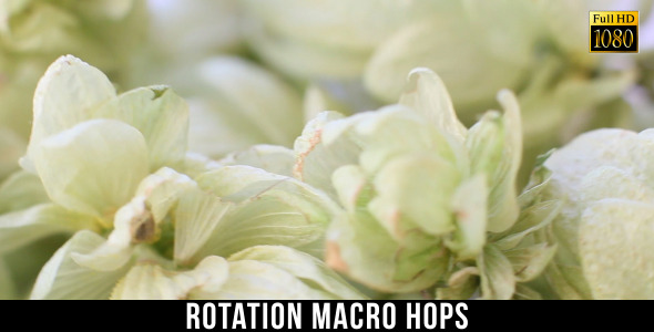 Rotation Hops alt
