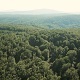 Flying Above The Mountain Forest - VideoHive Item for Sale