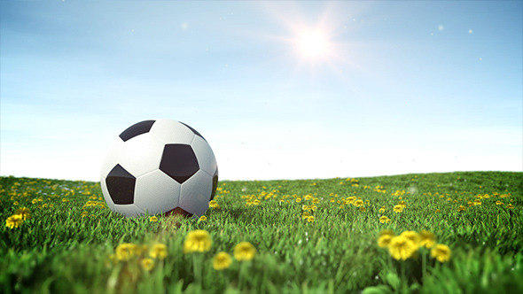 Soccer Ball on a Green Grass Field