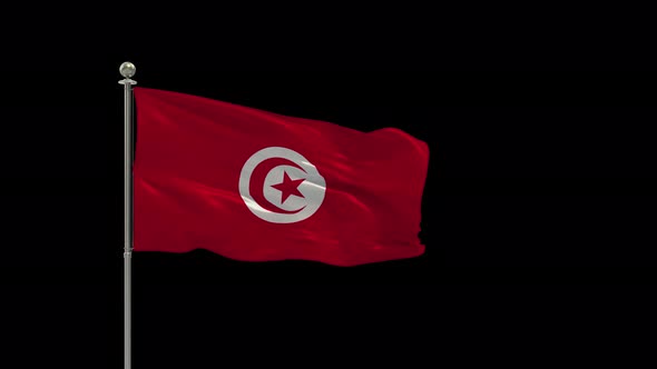 Tunisia Flag Pole Looping  Animation Include Alpha Channel