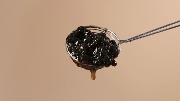 Juicy Black Tapioca Pearls Slowly Falling from Round Spider Strainer