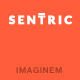 Sentric | Support Forum WordPress Theme - ThemeForest Item for Sale