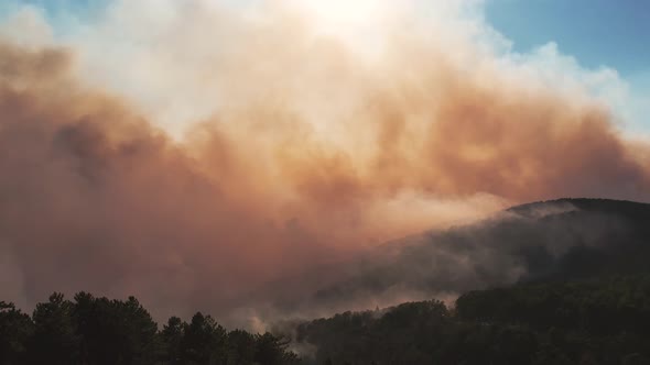 Smoke of a Forest Fire