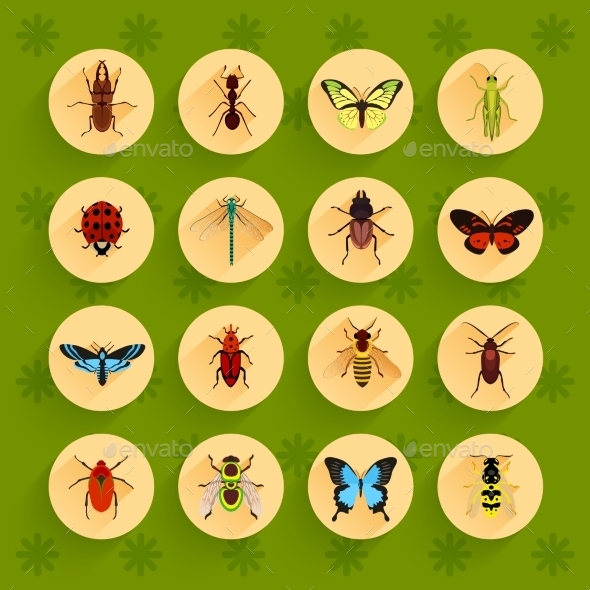 Insects Flat Icons Set