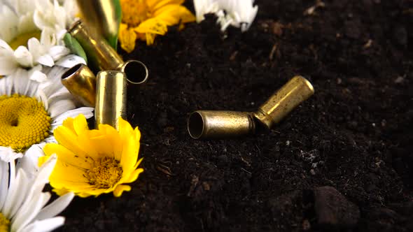Bullet casings from a 5mm pistol fall to the ground and chamomile flowers. Slow motion.