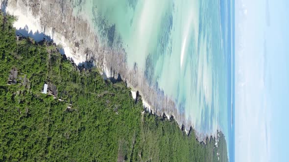 Zanzibar Tanzania  Vertical Video of Low Tide in the Ocean Near the Coast Slow Motion