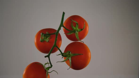 Bunch of Tomatoes