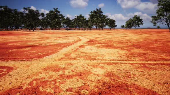 Cracked Ground Dry Land During the Dry Season