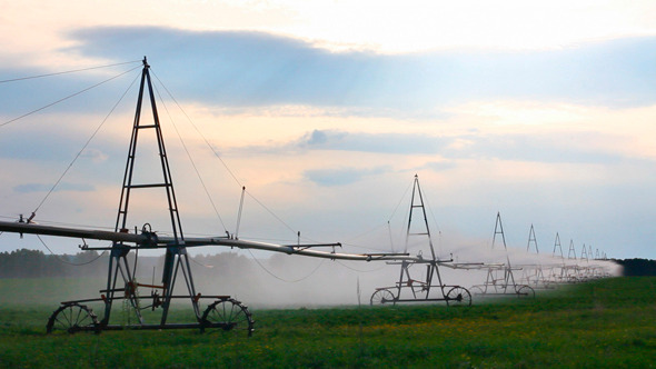 Irrigation Of Agriculture Field