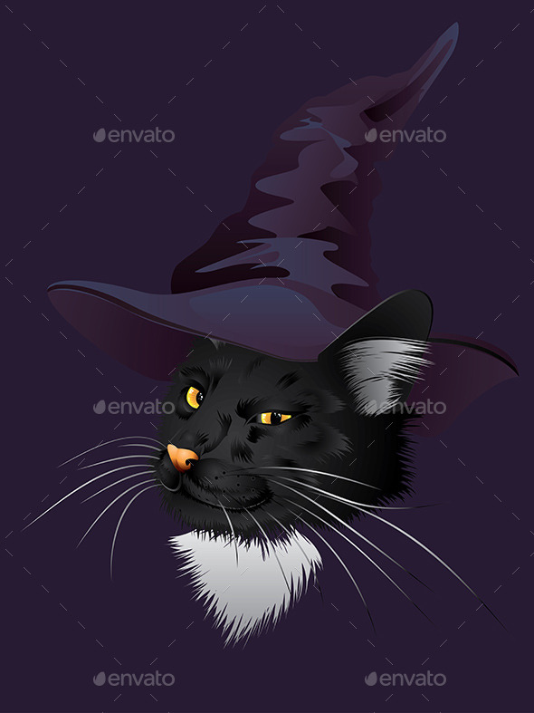 Kitty Witchy