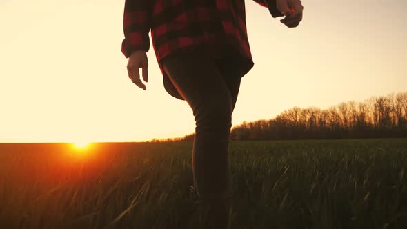 Farmer Girl Walking Beside Green Wheat Field Enjoying the Sun. Female Farmer in Plaid Shirt and Hat