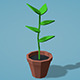 Low Poly Plant - 3DOcean Item for Sale
