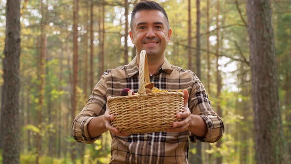 Happy Man with Basket Picking Mushrooms in Forest
