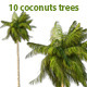 10  Coconuts trees - 3DOcean Item for Sale