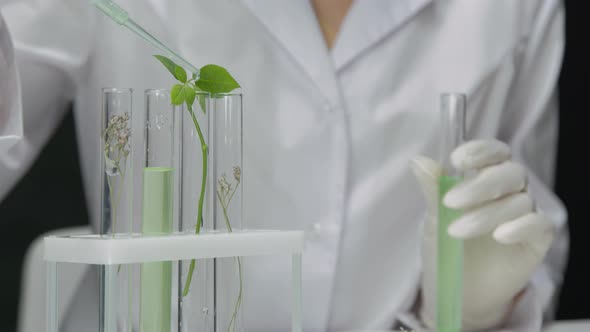 Researcher Examines Sprouts of Beneficial Plants By Adding Reagents to Test Tube