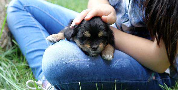 Girl with Black Puppy