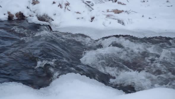 Mountain River and Winter Forest with Snowy Trees 