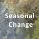Seasonal Change - VideoHive Item for Sale