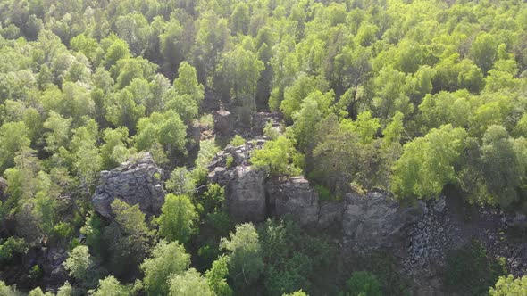 Aerial View of Green Trees at the Top of the Mountain