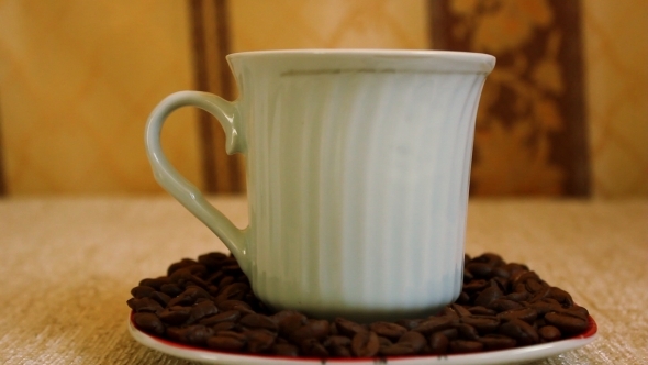 Coffee Cup 5