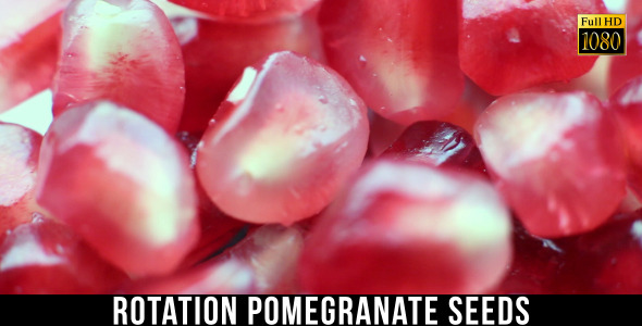 Pomegranate Seeds 4