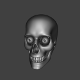 Skull - 3DOcean Item for Sale