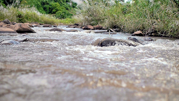 Stream Flowing Water 03 alt