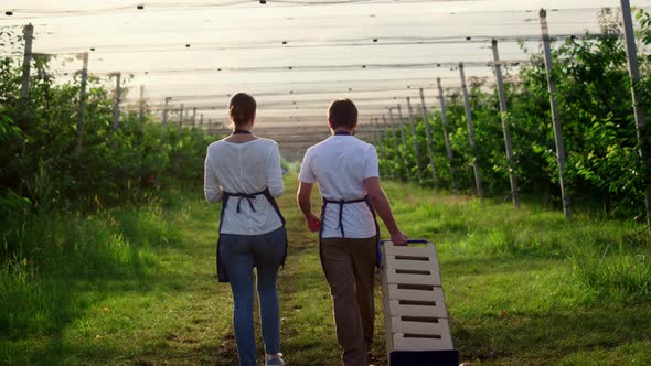 Couple Farmers Monitoring Cultivation Harvest in Summer Plantation Greenhouse