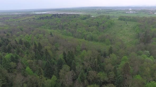 Flying Over Green Deciduous Forest with Small Glades, Aerial View