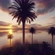 Sunset On Palms Island - VideoHive Item for Sale