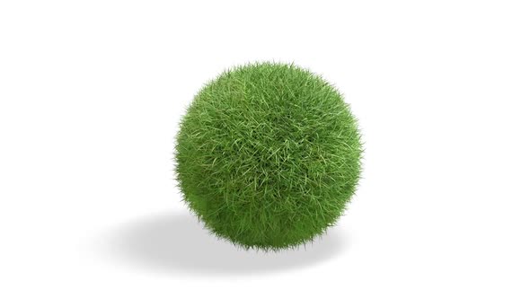 Blank grass marble ball, looped rotation
