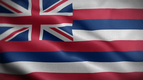 Hawaii State Flag Blowing In Wind