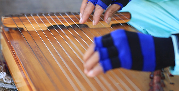 Harp Performer