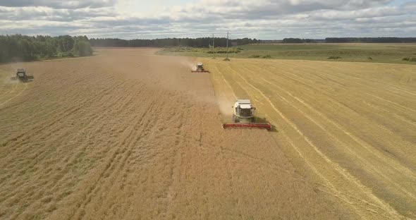 Bird Eye View Agricultural Machines Work in Yellow Field