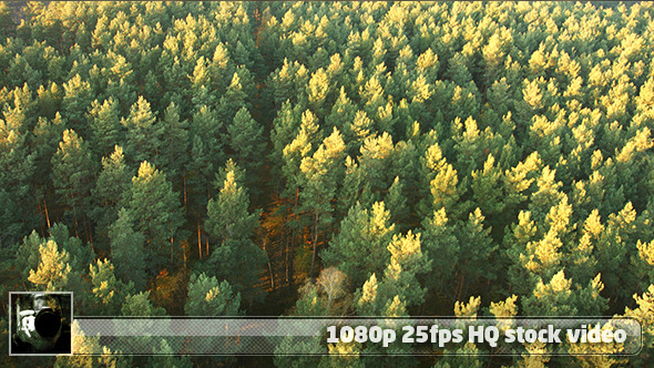 Earth From Above 3 alt