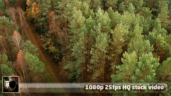 Earth From Above 7 alt