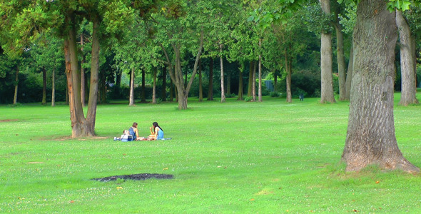 Picnic on Grass in Green Nature
