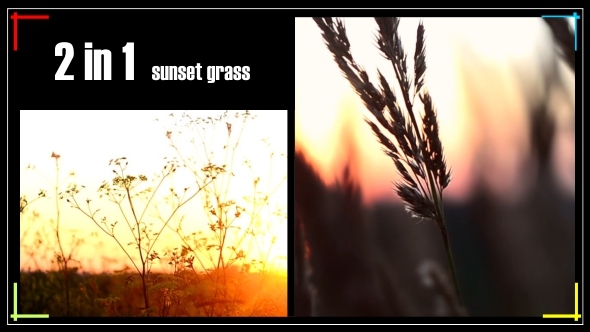 Beautiful Sunset Grass Pack 2in1