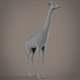 Giraffe base model - 3DOcean Item for Sale