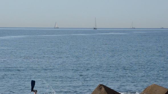 Sailboats And Diver