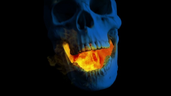 Skull Fire Mouth Eats Camera In The Dark