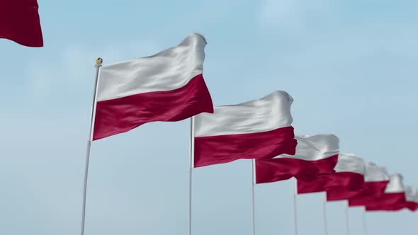 Poland Row Of Flags  alt