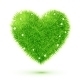 Fluffy Grass Heart with Flowers - GraphicRiver Item for Sale