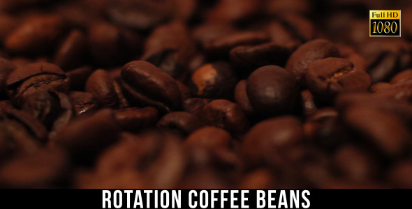 The Coffee Beans 3