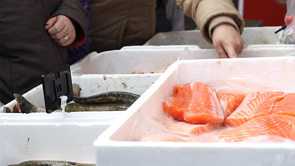 Buying Fresh Fish